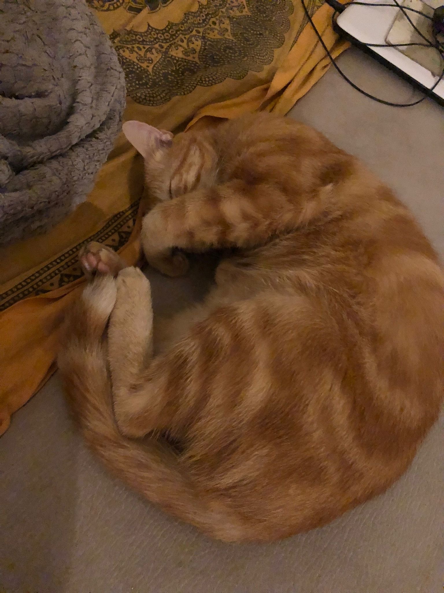 Profil de Stepan
