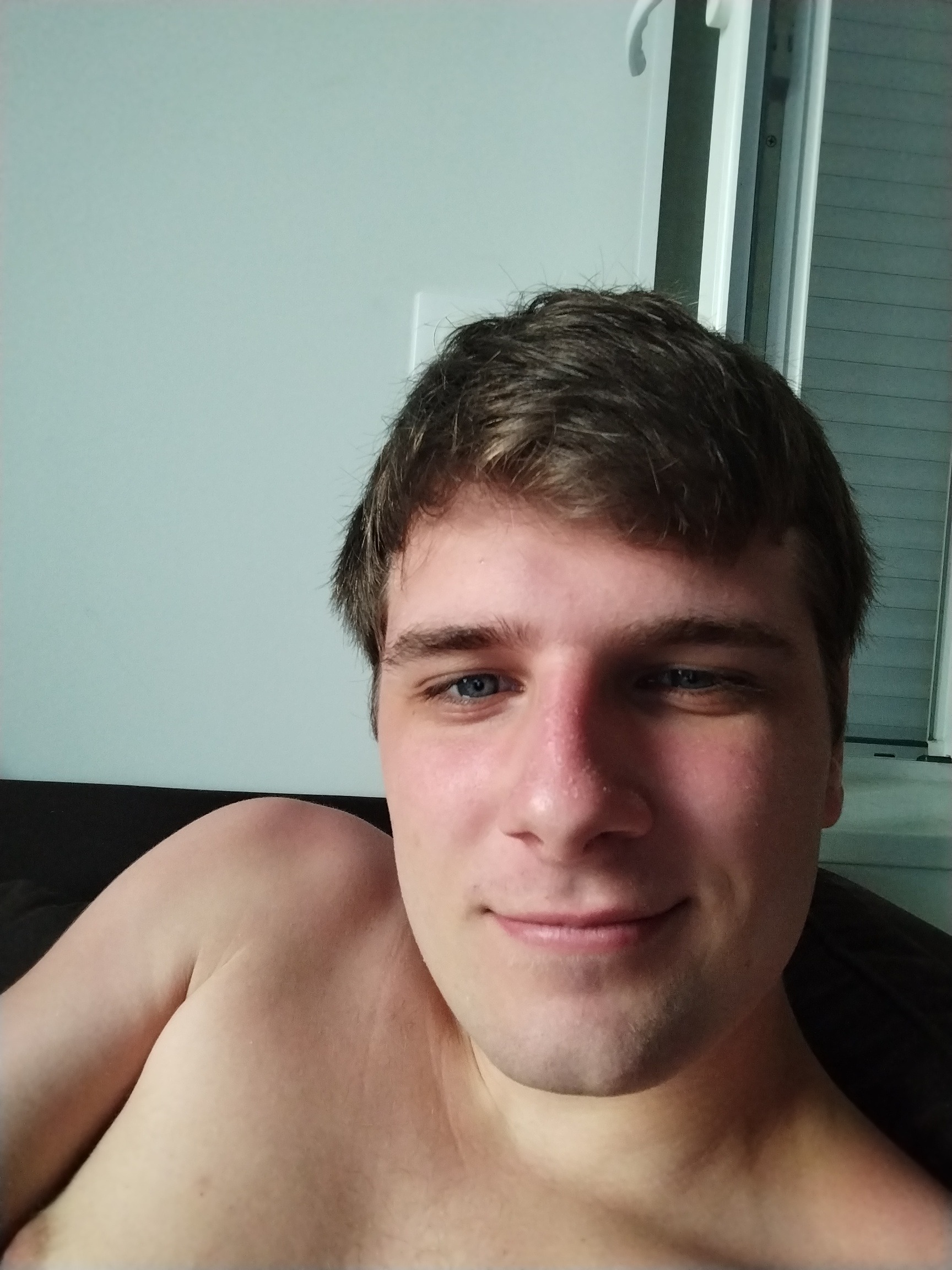 Profil de Dauphin