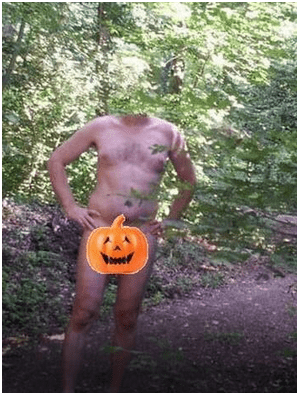 Profil de Sully