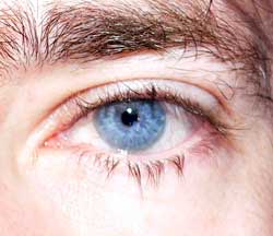 Profil de Eol