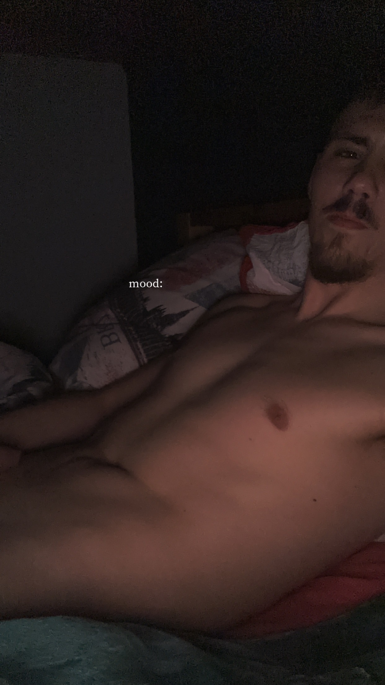 Profil de Ronael