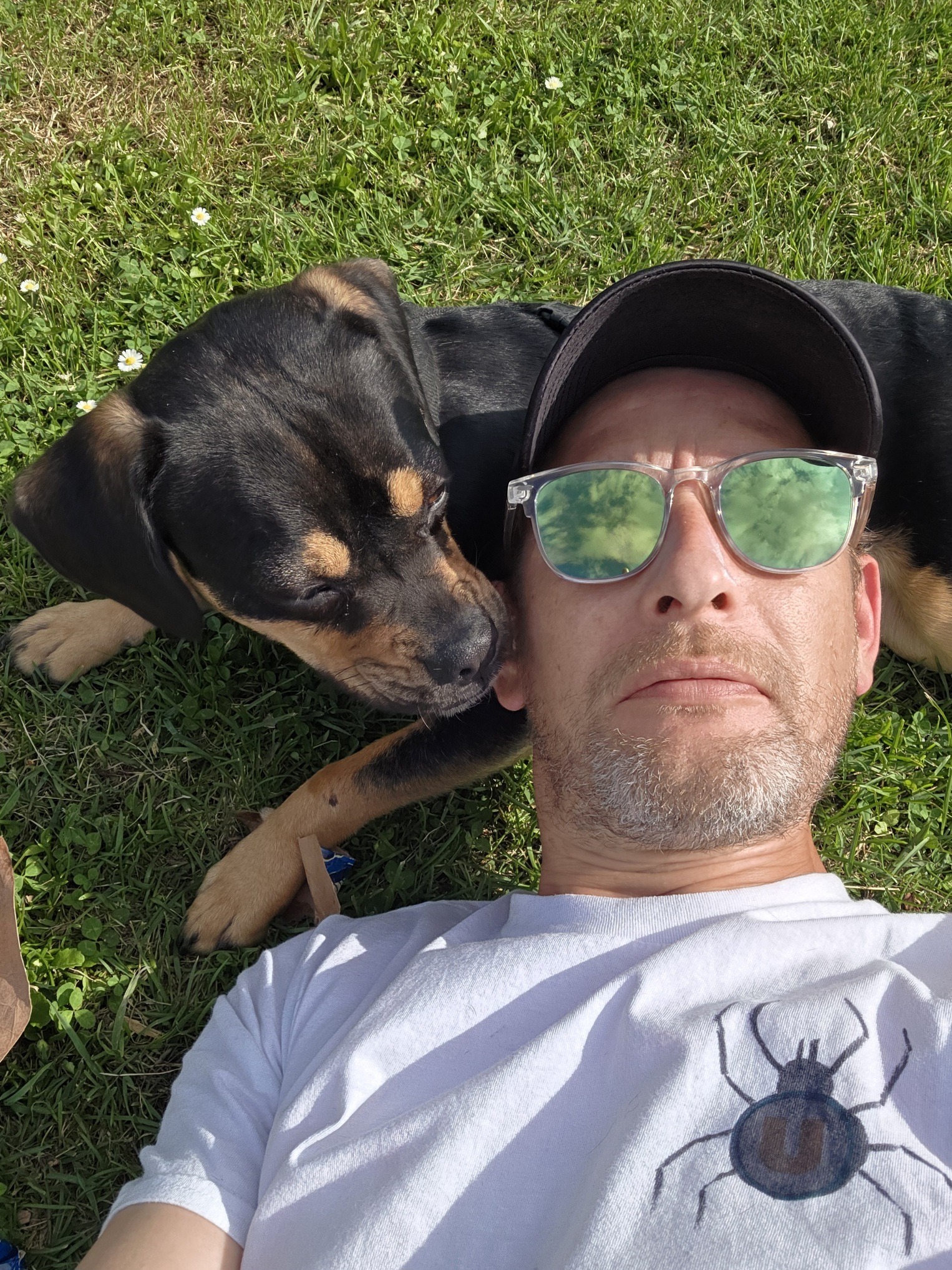 Profil de Louis-ferdinand